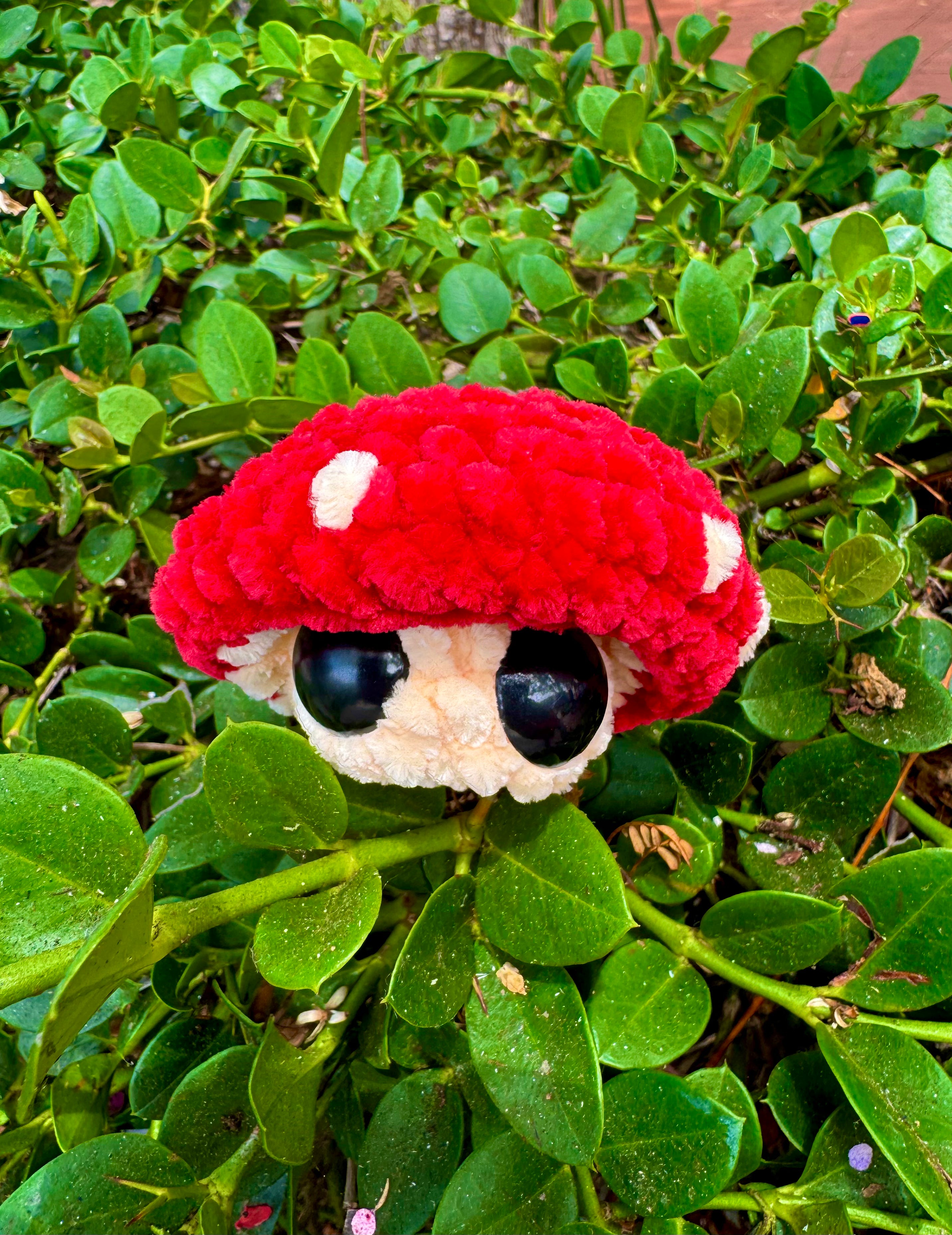 Fidget Mushroom