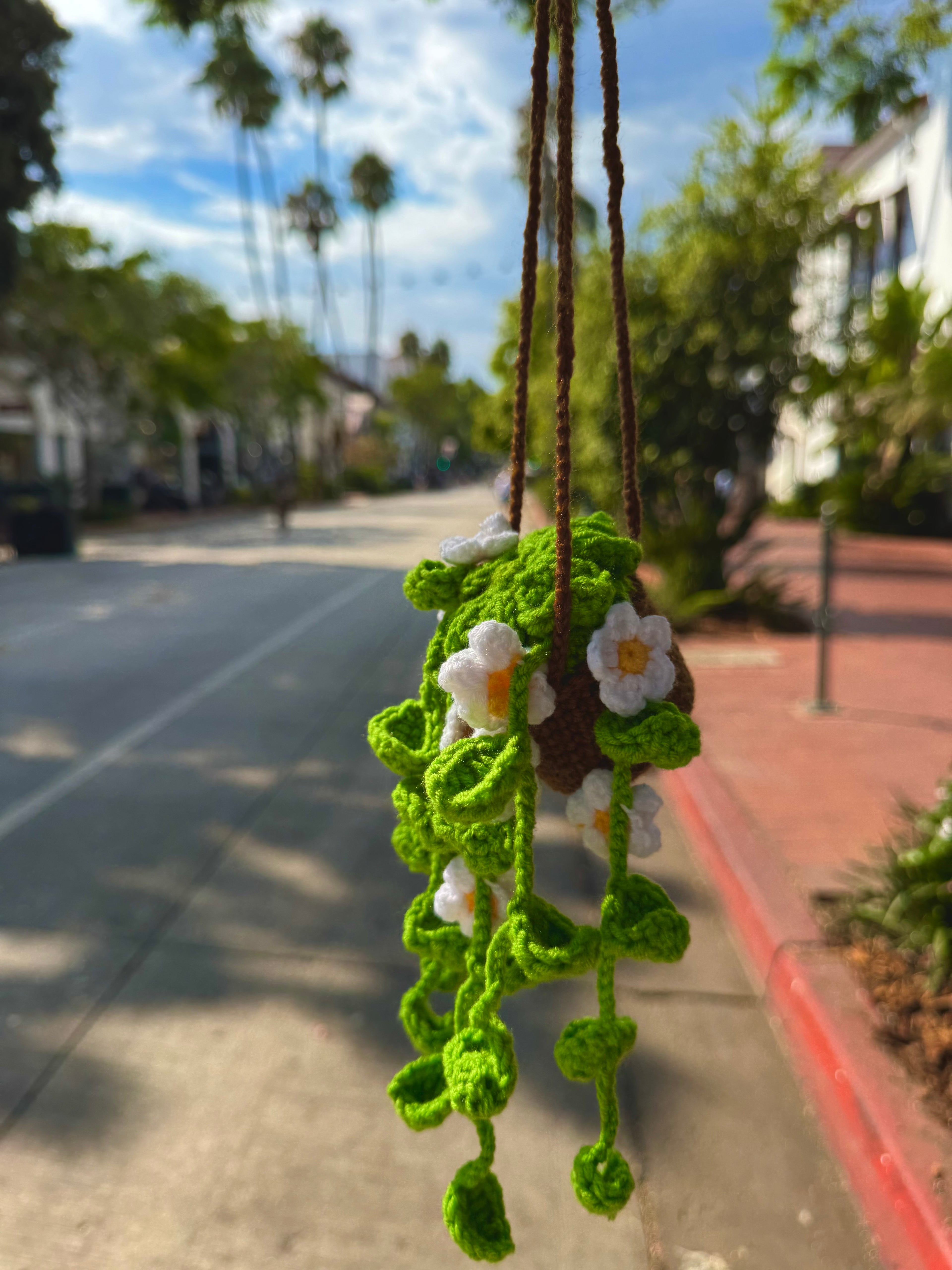 Hanging Plant Car Accessory