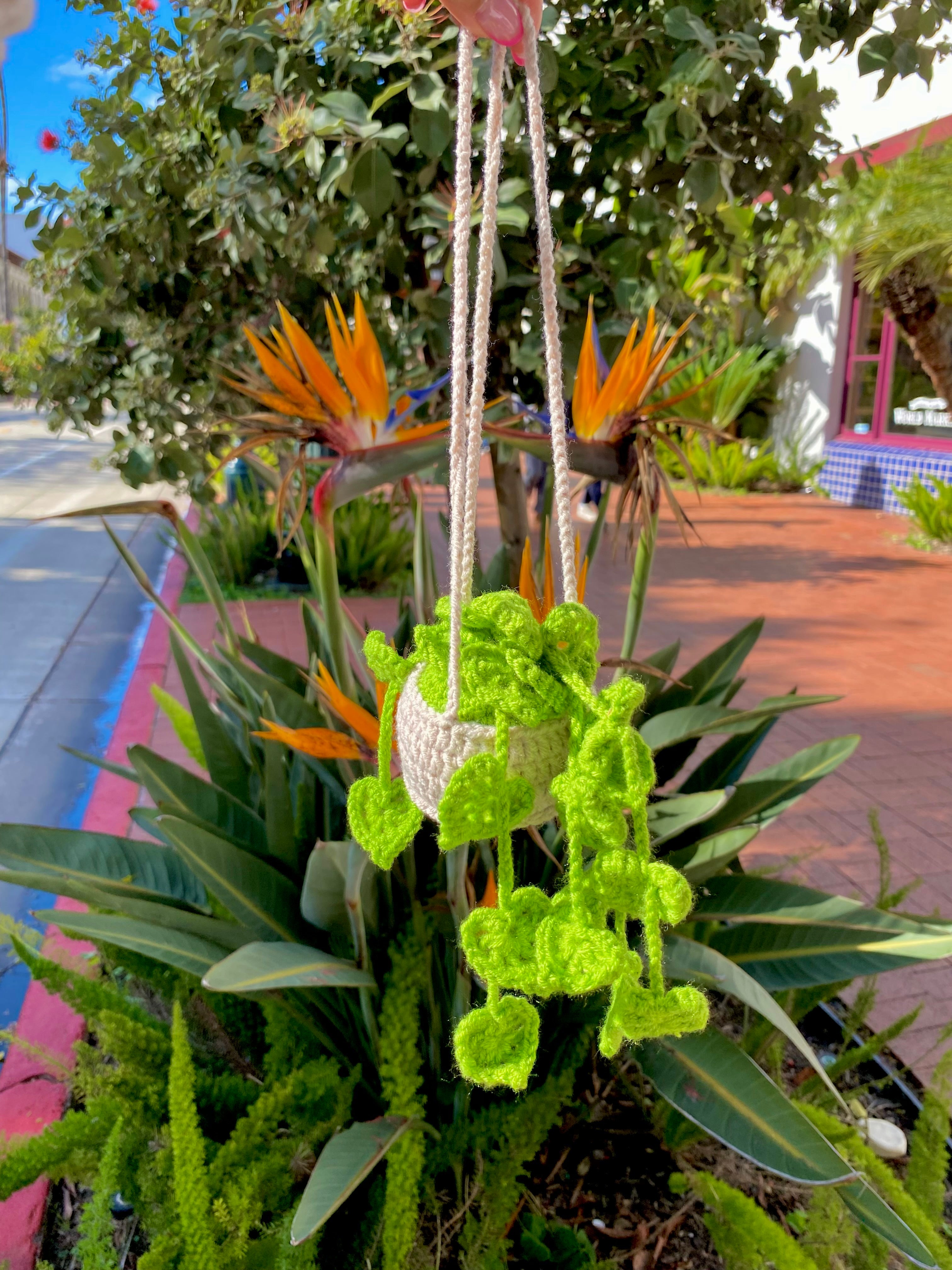 Hanging Plant Car Accessory
