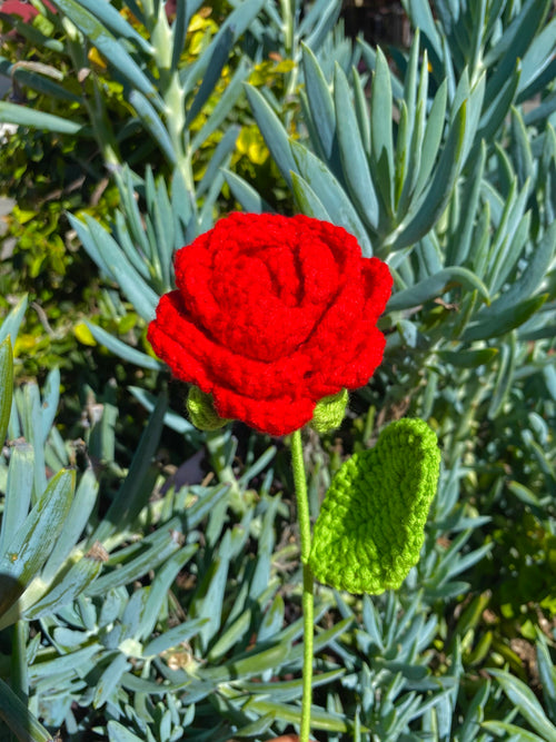 Crochet Rose
