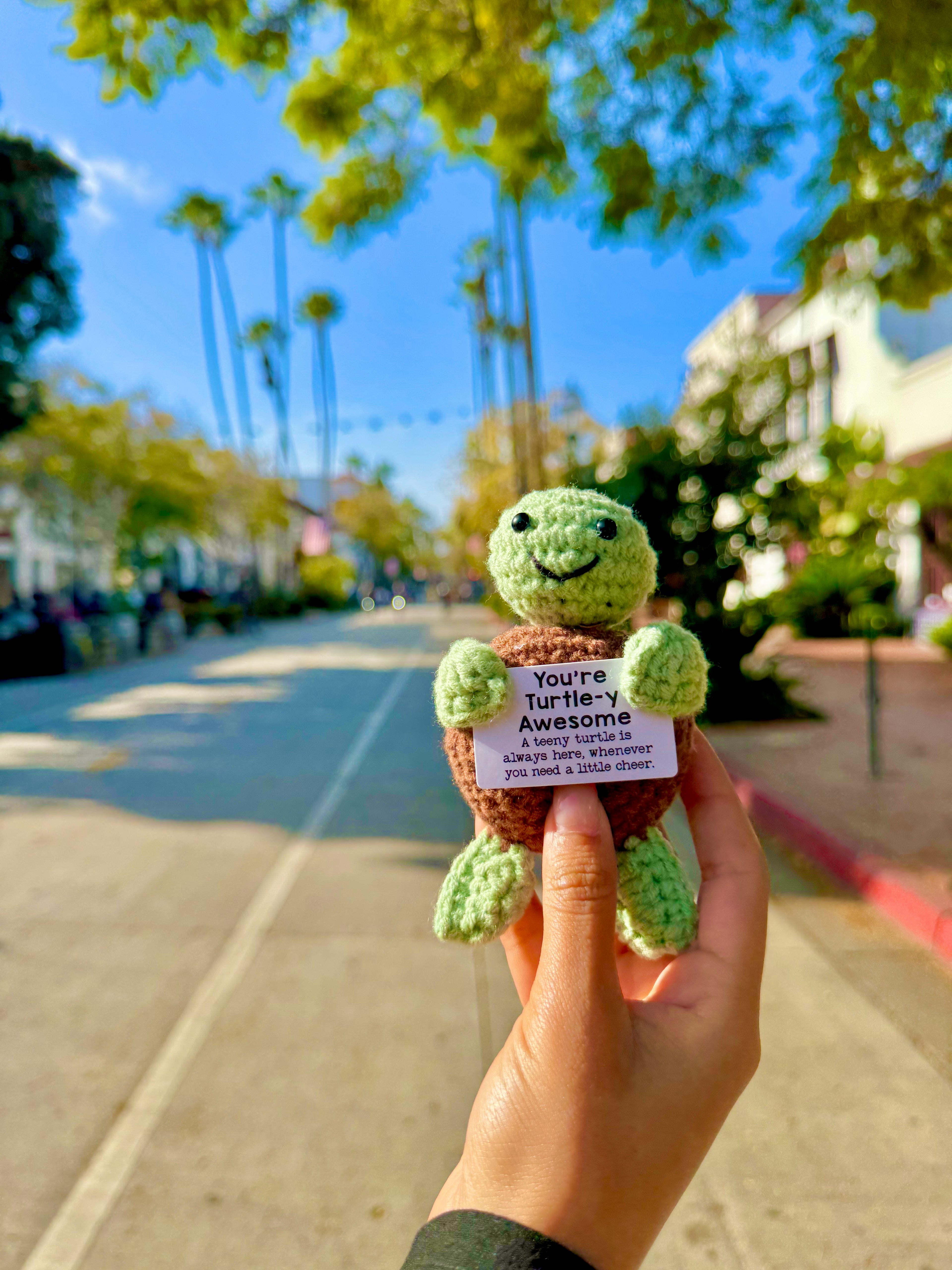 Emotional Support Turtle