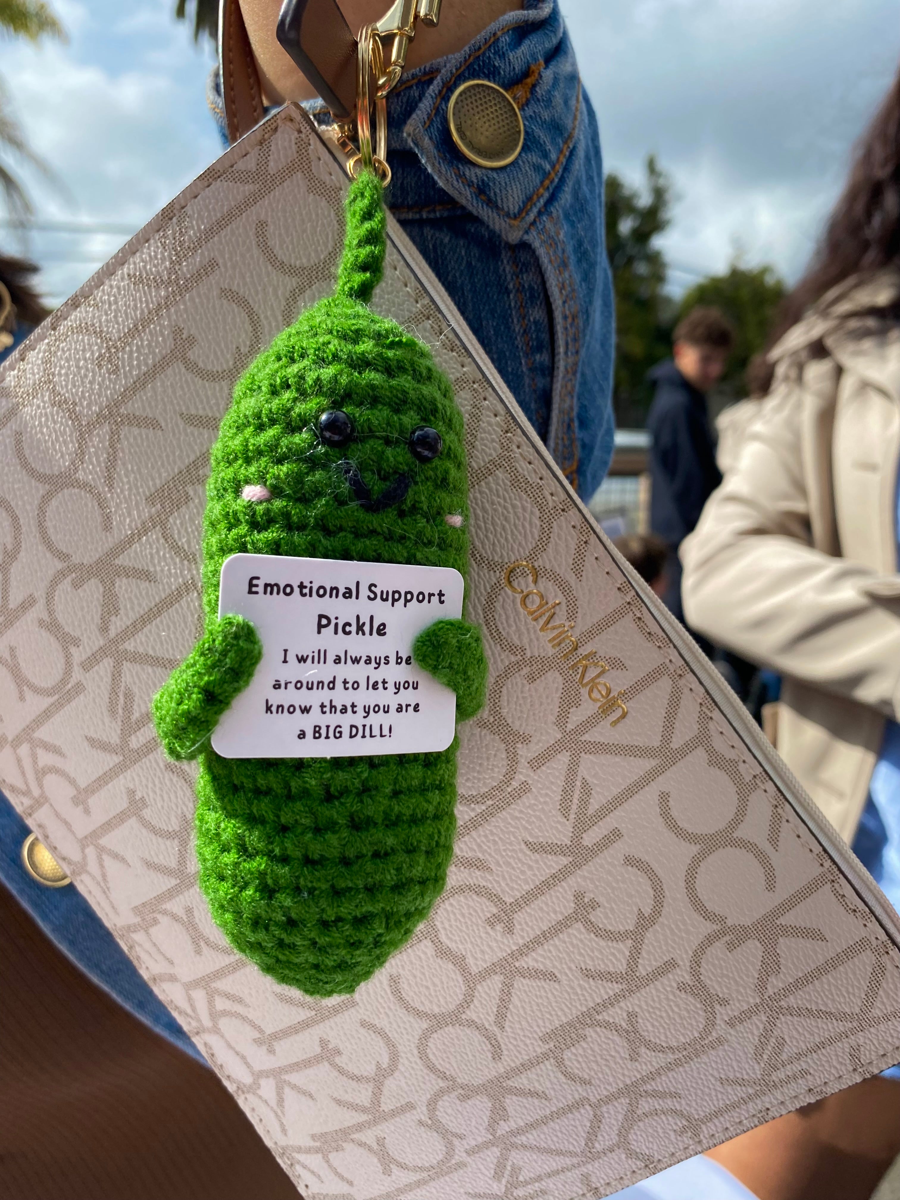 Emotional Support Pickle